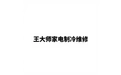 王大师家电制冷维修 标志
